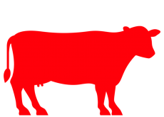 Standard Full Cow 100 Kg