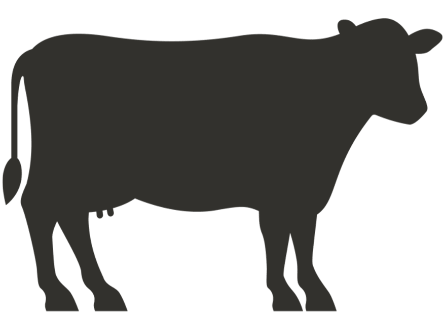 Elite Plus Full Cow 140-160 Kg