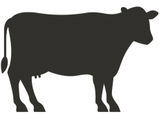 Elite Plus Full Cow 140-160 Kg