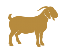 Premium Bakra 15-18 Kg