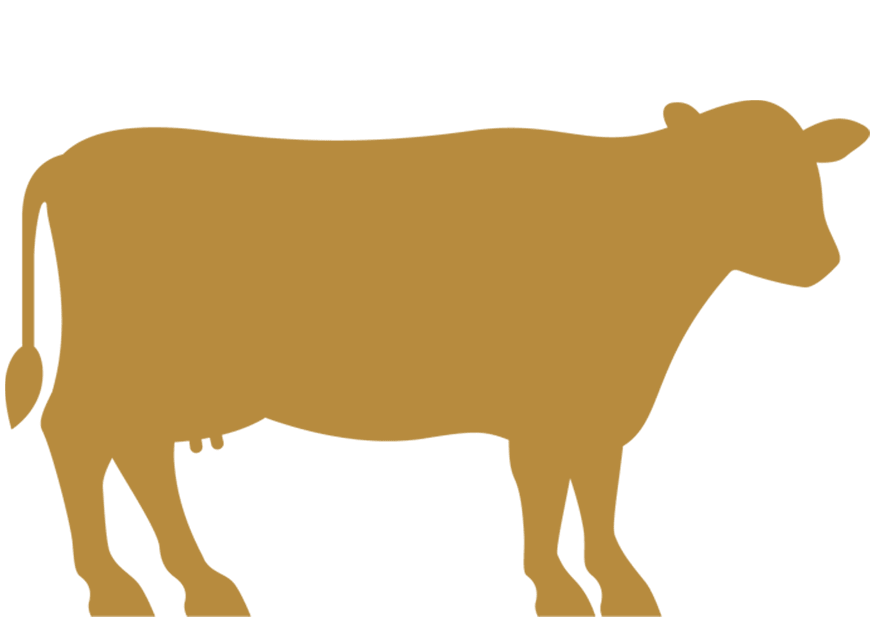 Premium Full Cow 120-130 Kg