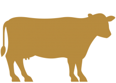 Premium Full Cow 120-130 Kg