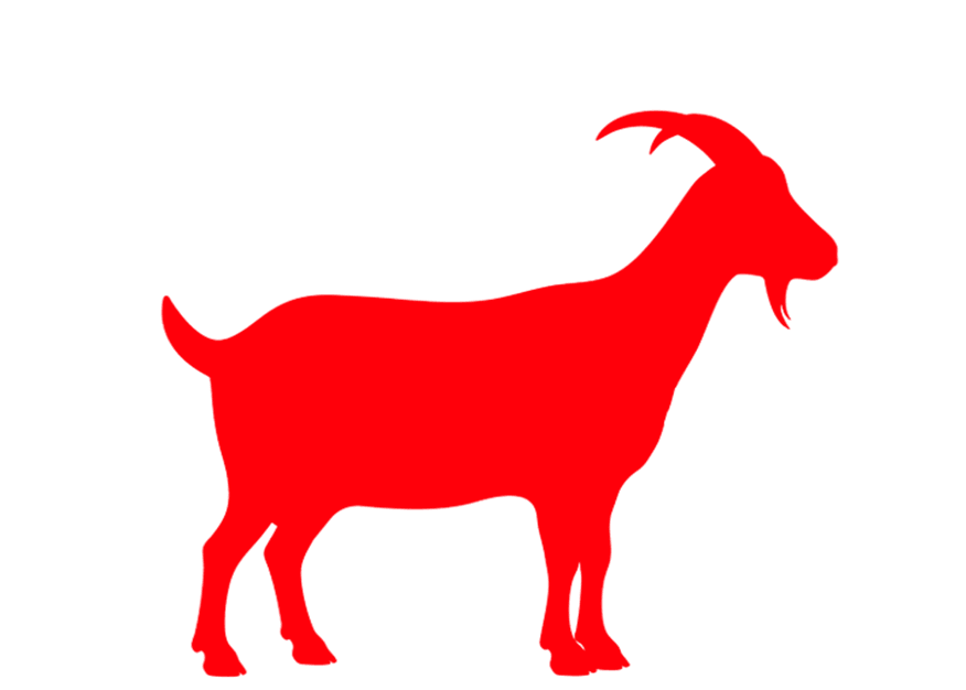 Standard Bakra 12-14 Kg