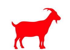 Standard Bakra 12-14 Kg